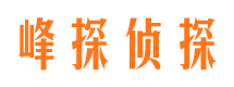 北塔市侦探公司